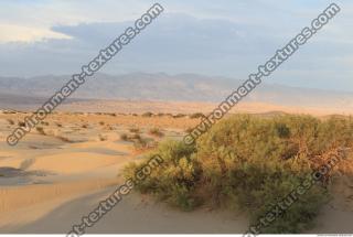 Photo Reference of Background Desert